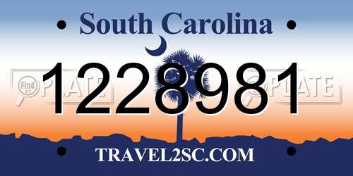 1228981 South Carolina License Plate