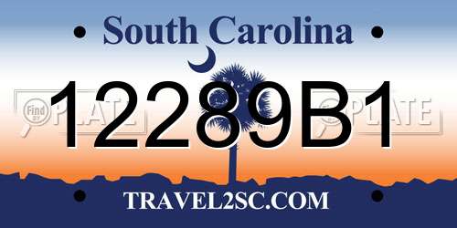 12289B1 South Carolina License Plate