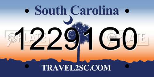 12291G0 South Carolina License Plate