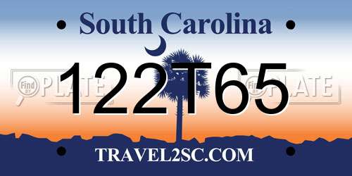 122T65 South Carolina License Plate