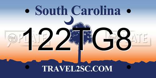 122TG8 South Carolina License Plate