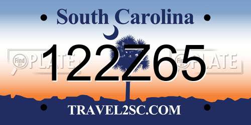 122Z65 South Carolina License Plate