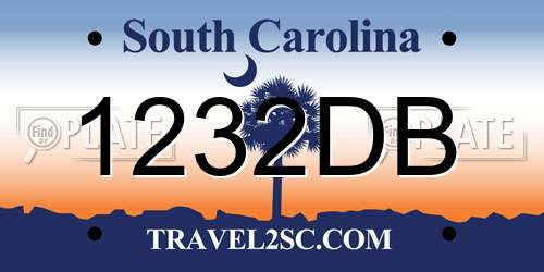 1232DB South Carolina License Plate