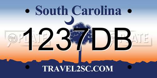 1237DB South Carolina License Plate
