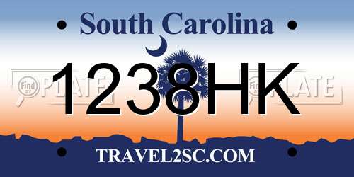 1238HK South Carolina License Plate