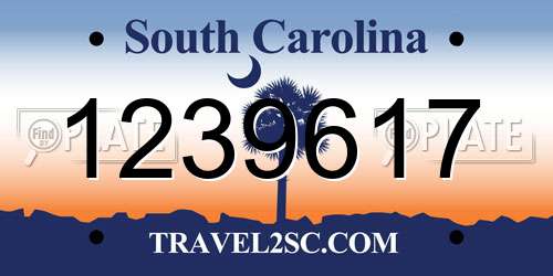 1239617 South Carolina License Plate