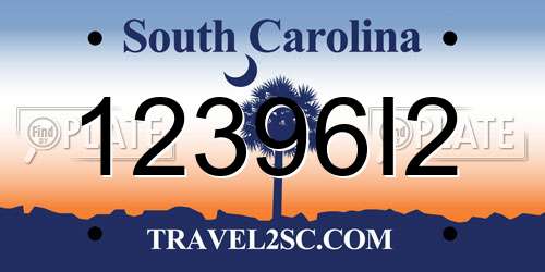 12396I2 South Carolina License Plate