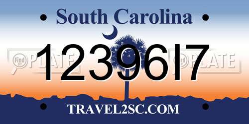 12396I7 South Carolina License Plate