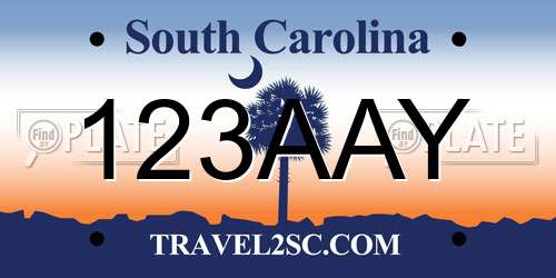 123AAY South Carolina License Plate