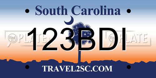 123BDI South Carolina License Plate