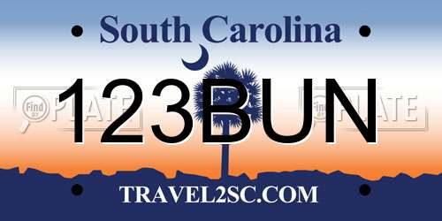 123BUN South Carolina License Plate