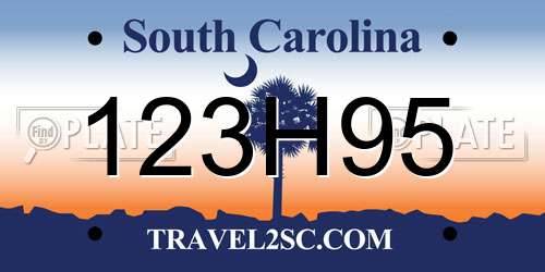 123H95 South Carolina License Plate