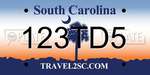 123TD5 South Carolina License Plate