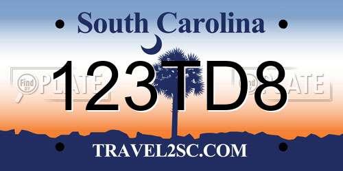 123TD8 South Carolina License Plate