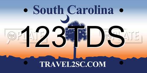 123TDS South Carolina License Plate