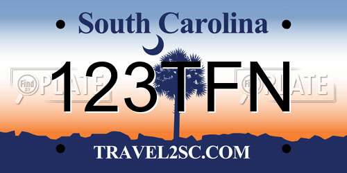 123TFN South Carolina License Plate