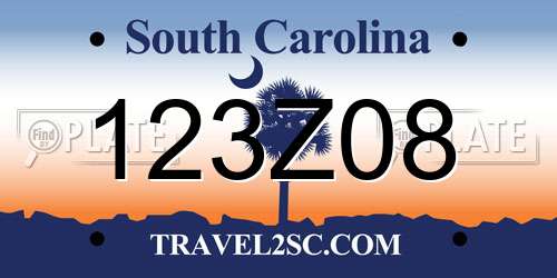 123Z08 South Carolina License Plate