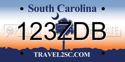 123ZDB South Carolina License Plate