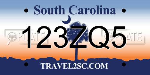 123ZQ5 South Carolina License Plate