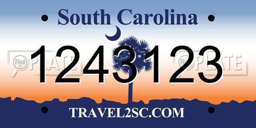 1243123 South Carolina License Plate