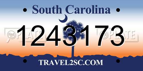 1243173 South Carolina License Plate