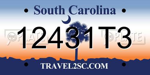 12431T3 South Carolina License Plate