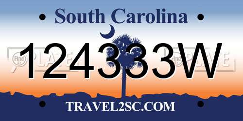 124333W South Carolina License Plate