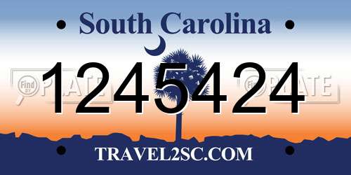 1245424 South Carolina License Plate