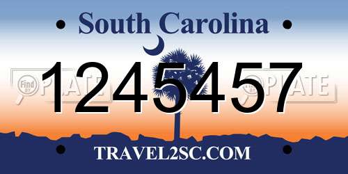 1245457 South Carolina License Plate