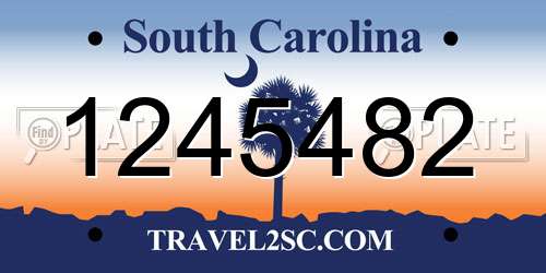 1245482 South Carolina License Plate
