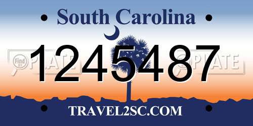 1245487 South Carolina License Plate