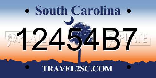 12454B7 South Carolina License Plate