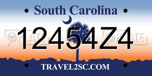 12454Z4 South Carolina License Plate
