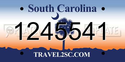 1245541 South Carolina License Plate
