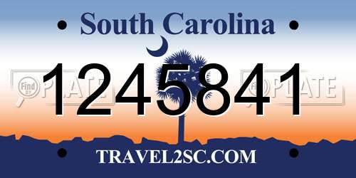 1245841 South Carolina License Plate