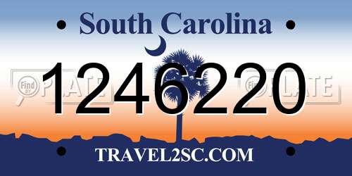 1246220 South Carolina License Plate