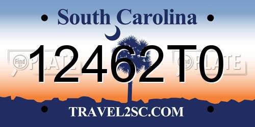 12462T0 South Carolina License Plate
