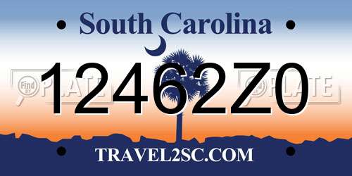 12462Z0 South Carolina License Plate