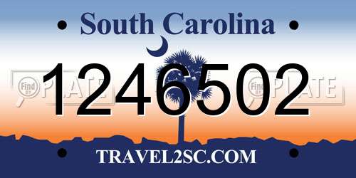1246502 South Carolina License Plate