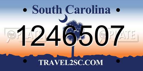 1246507 South Carolina License Plate
