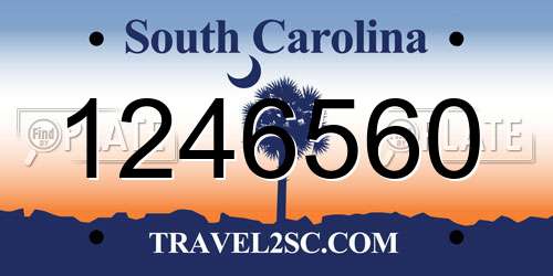 1246560 South Carolina License Plate