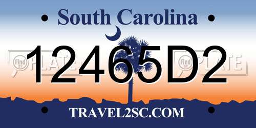 12465D2 South Carolina License Plate
