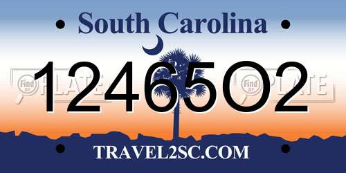 12465O2 South Carolina License Plate