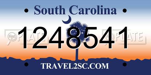 1248541 South Carolina License Plate