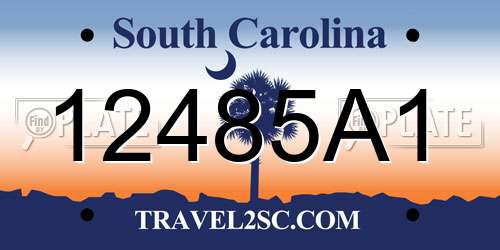12485A1 South Carolina License Plate