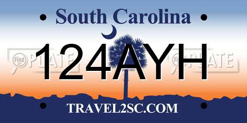 124AYH South Carolina License Plate