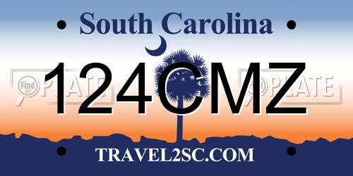 124CMZ South Carolina License Plate