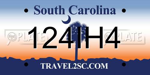 124IH4 South Carolina License Plate