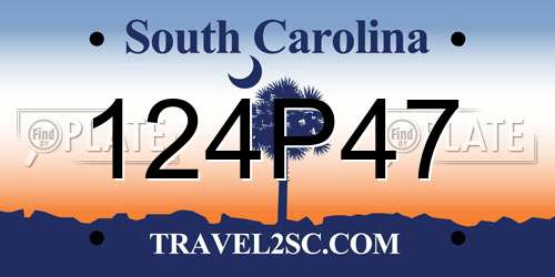 124P47 South Carolina License Plate