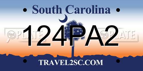 124PA2 South Carolina License Plate